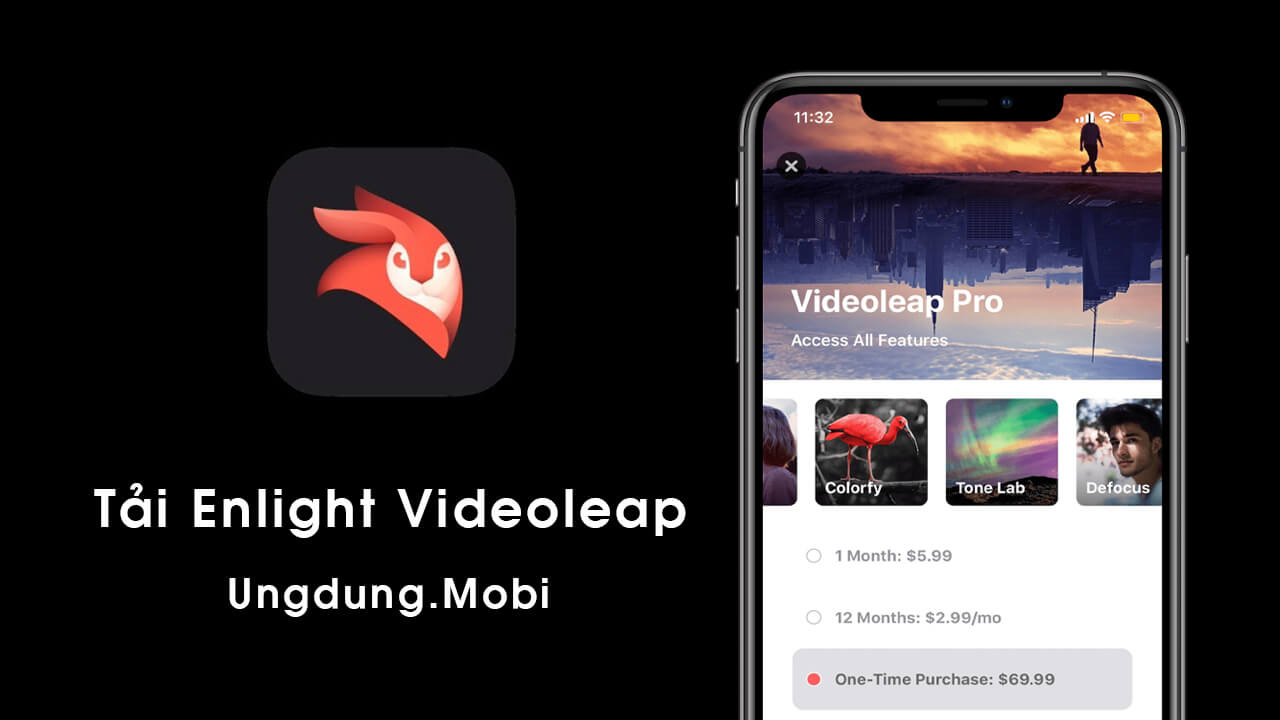 tai app enlight videoleap