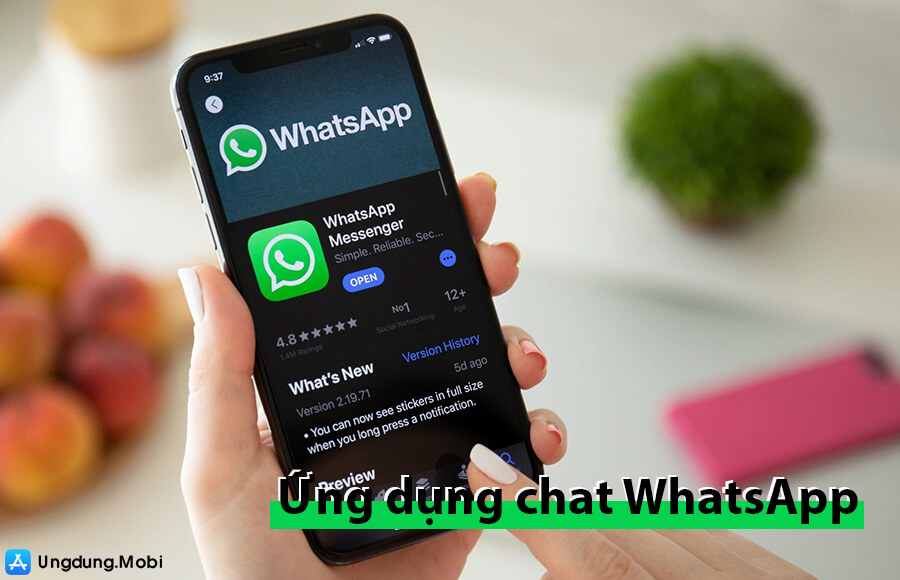 ung dung chat whatsapp 2