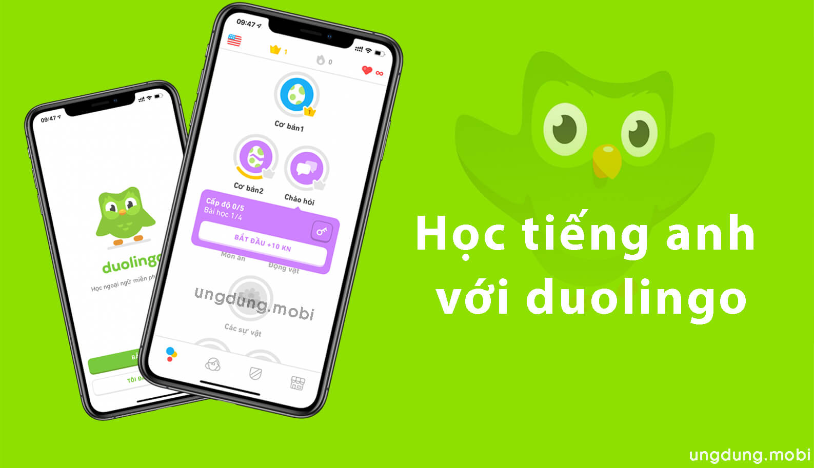 Tài Khoản Duolingo 1 Năm Giá Rẻ - Ứng Dụng Học Ngoại Ngữ Miễn Phí