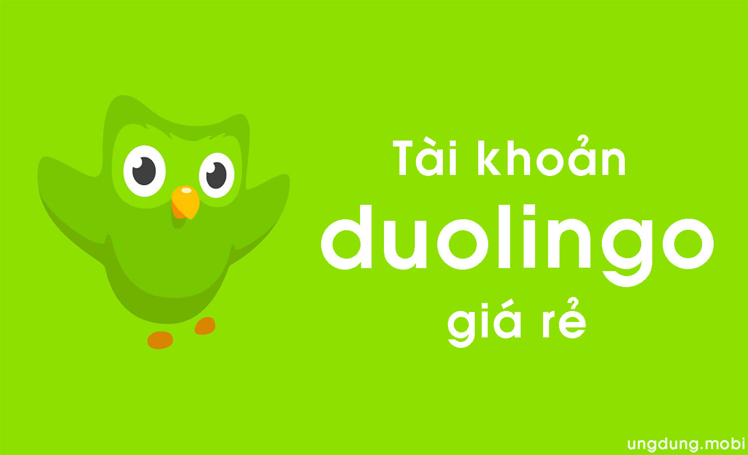 Cakestudy Duolingo và thành công nhờ những điều vô lý  Careerly Blog