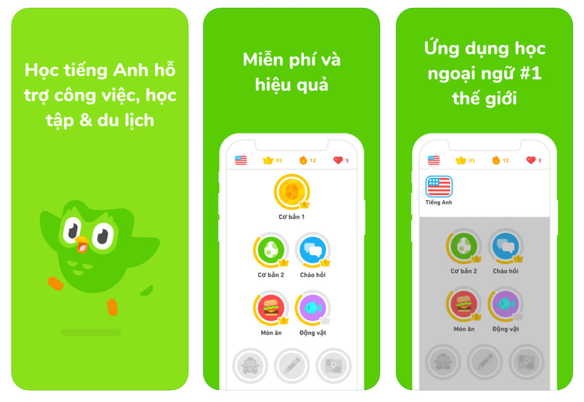 ung dung hoc tieng anh Duolingo