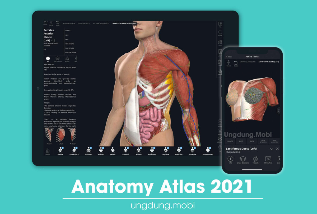 Anatomy Atlas 2021 ungdung.mobi scaled 1