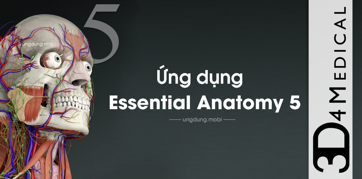 Tải Khoản Tải Essential Anatomy 5 Cho IPhone Và IPad