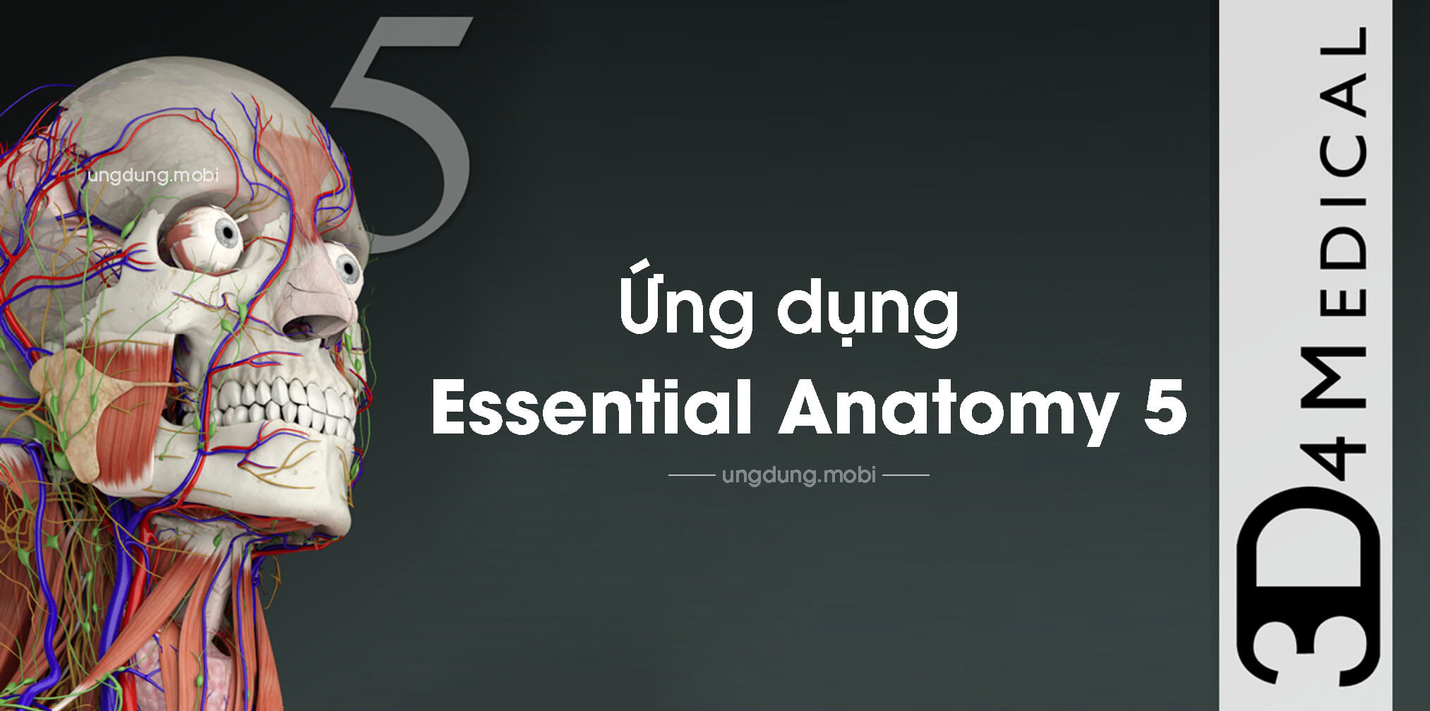 ung dung Essential Anatomy 5